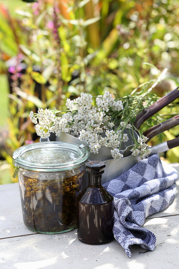 Yarrow tincture for gastro-intestinal problems and bloating