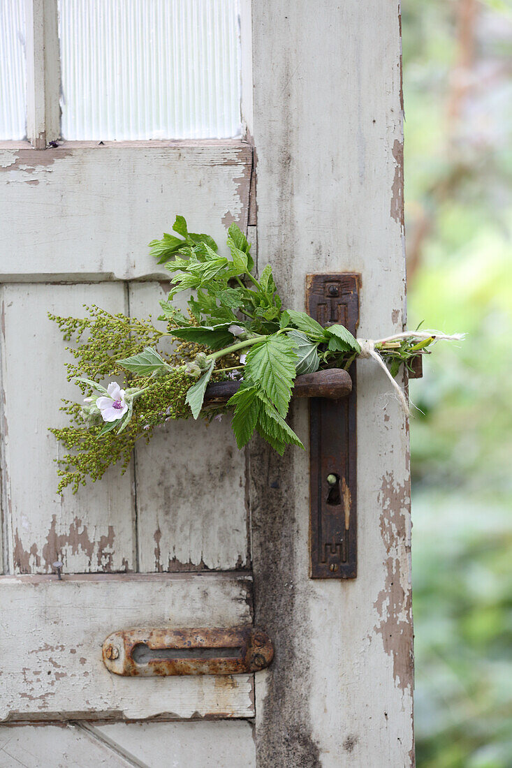 Herbs on an antique door handle