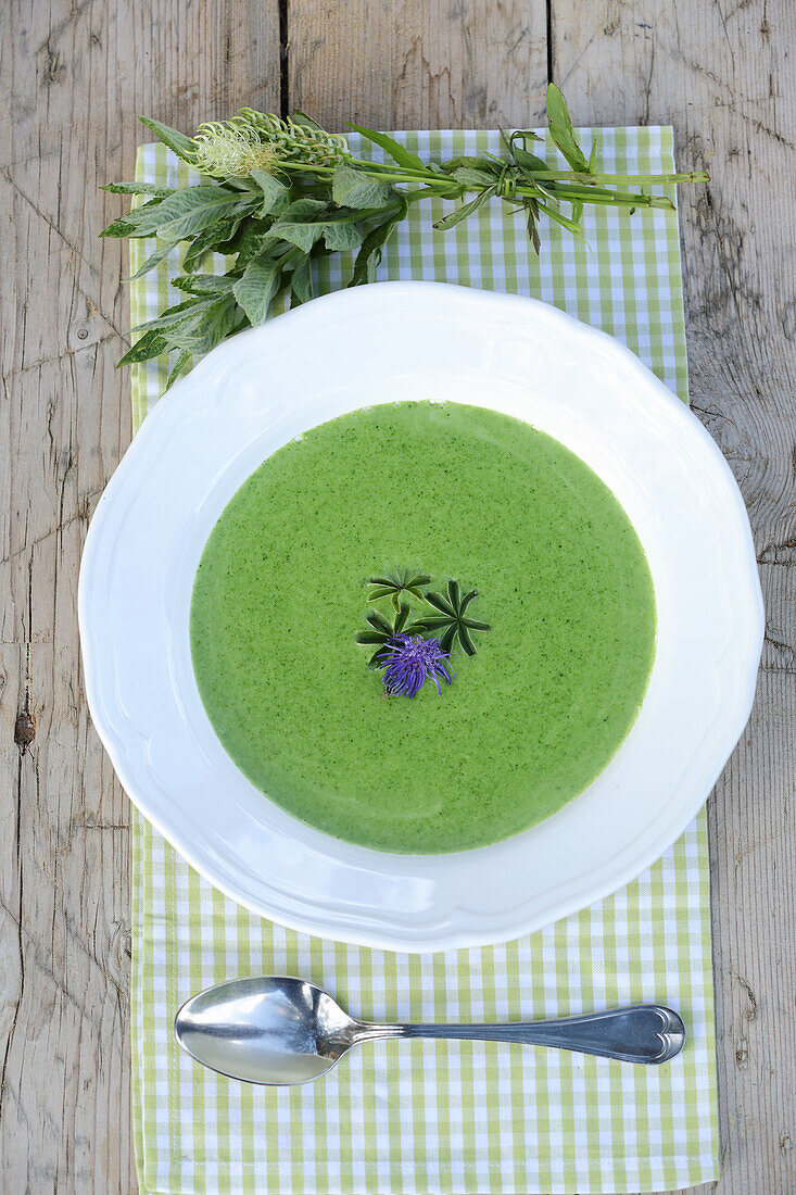 Salbei-Spitzwegerich-Suppe mit Teufelskralle