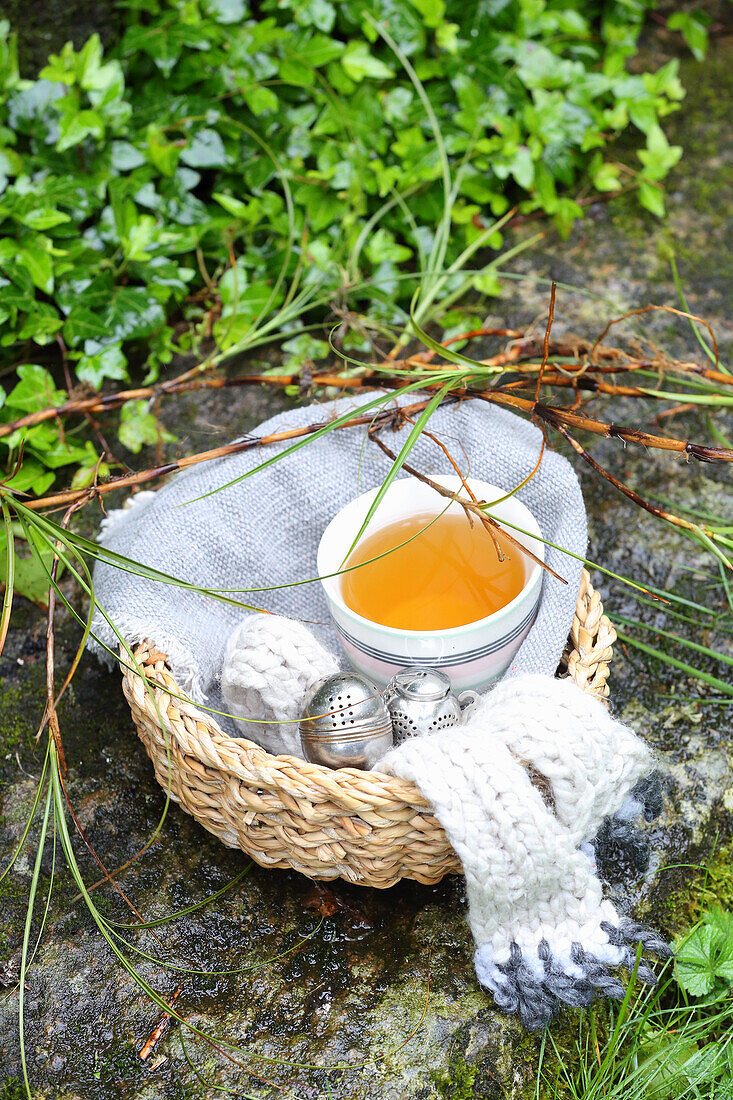 Glockenheide-Tee bei fiebrigen Erkältungen