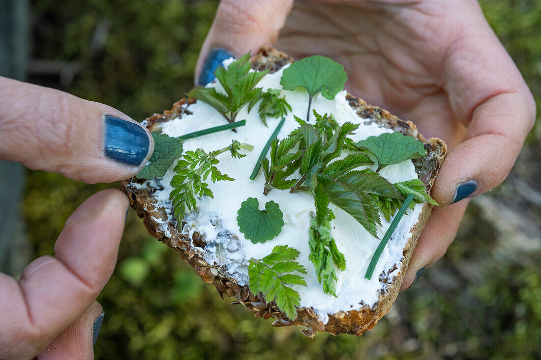 Wholemeal bread with cream cheese and wild herbs