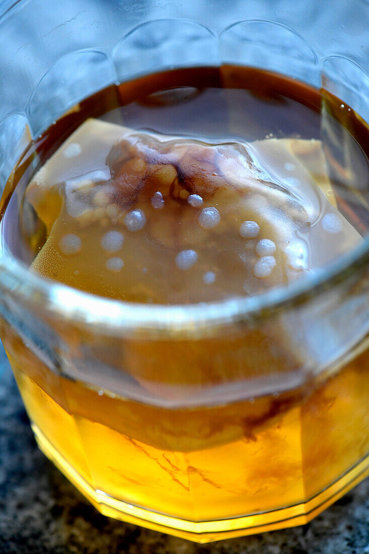 Kombucha (Fermentiertes Getränk)