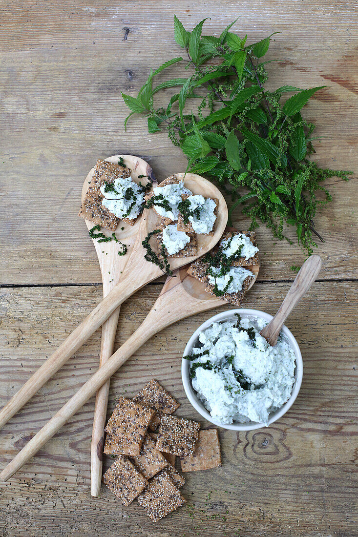 Brennnesselkäse mit Crackern