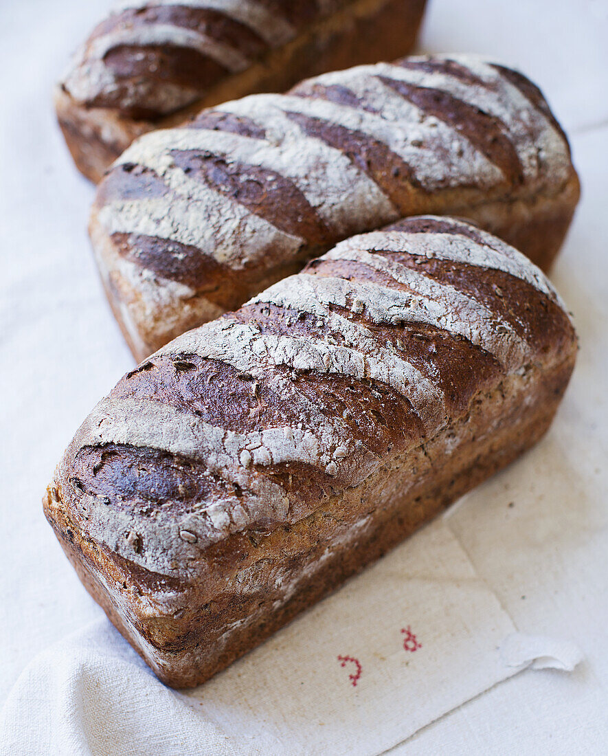 Loaves of bread with wheat sprouts