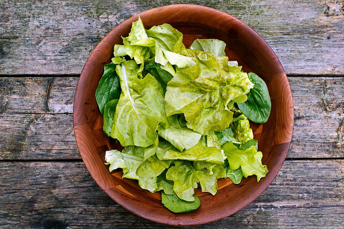 Bowl of organic garden lettuce