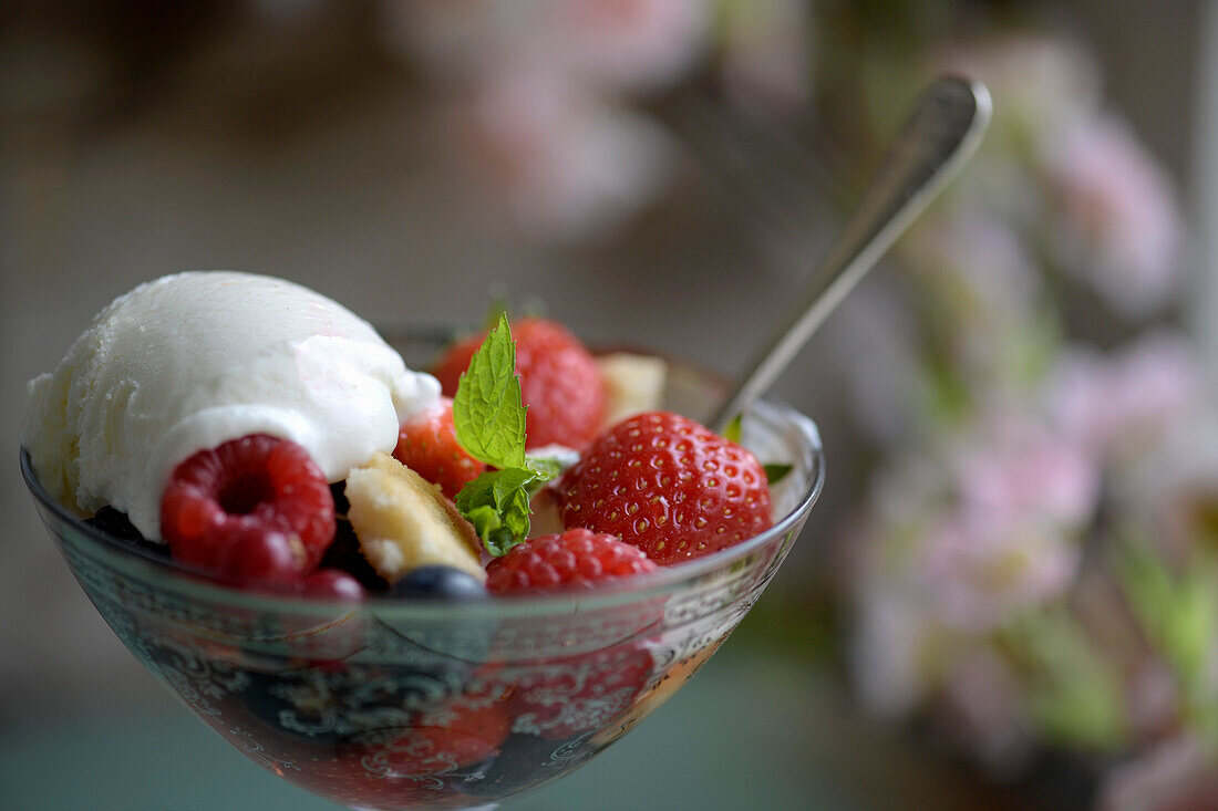 Berry salad with lemon ice cream