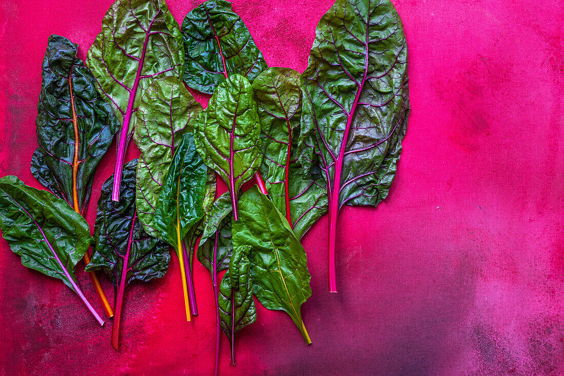 Fresh rainbow chard