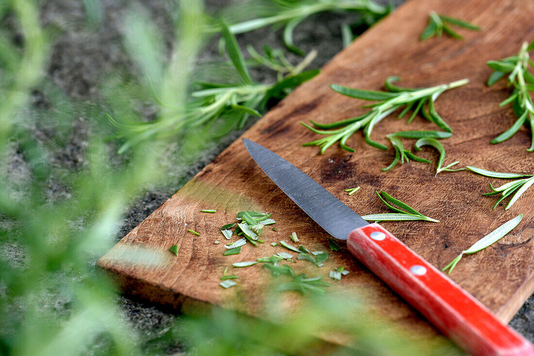 Rosemary with a knife on a wooden board