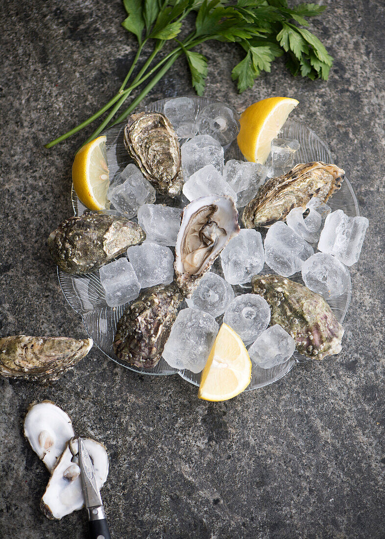 Fresh oysters with lemon slices on ice