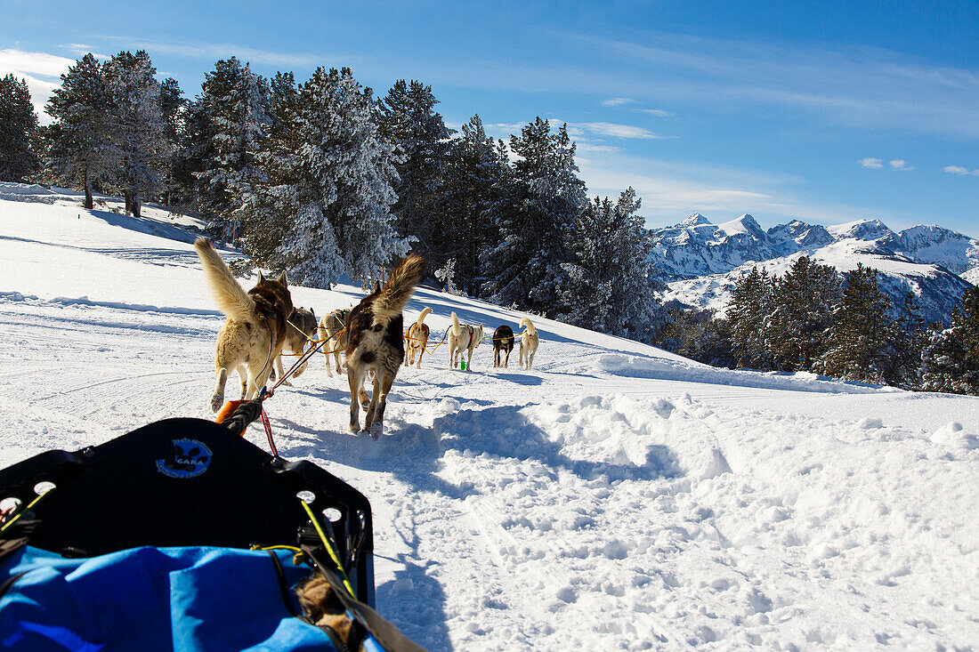 Hundeschlittenfahrt, Angaka Village nordique, Plateau de Beille, bei Les Cabannes, Département Ariège, Pyrenäen, Okzitanien, Frankreich
