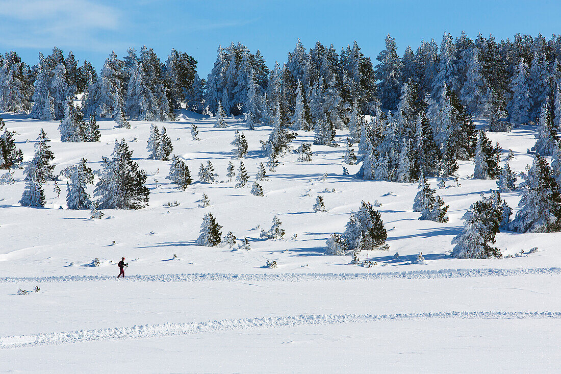 Berglandschaft im Winter, Plateau de Beille, bei Les Cabannes, Département Ariège, Pyrenäen, Okzitanien, Frankreich