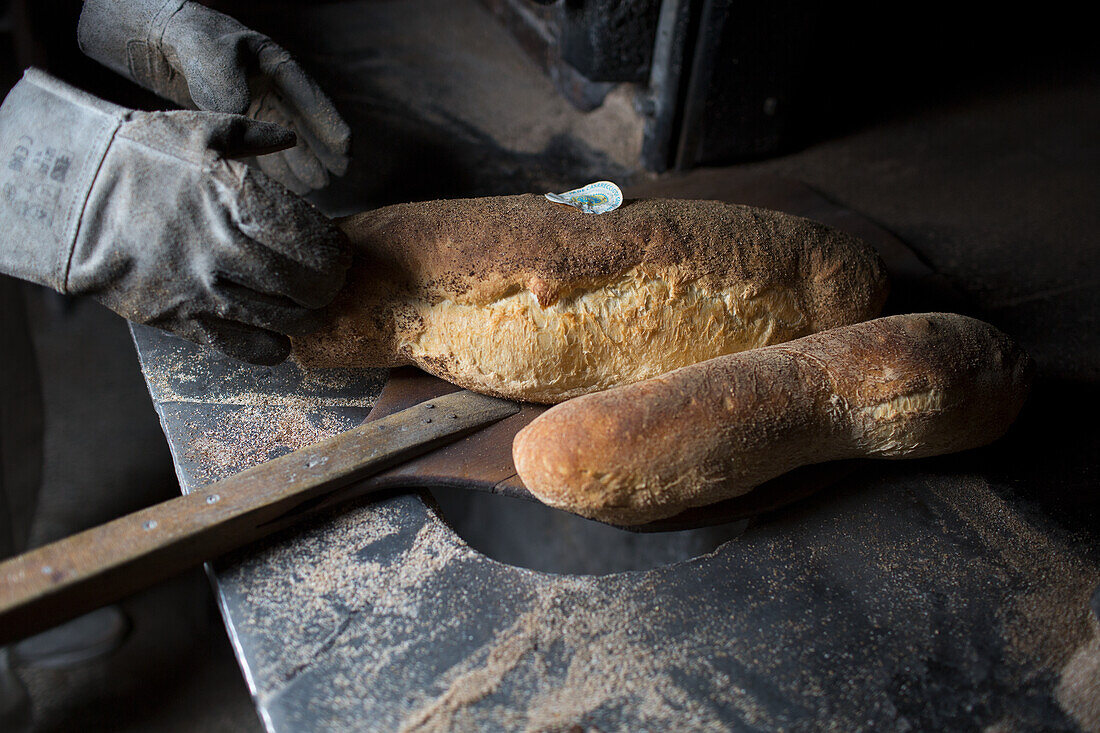 Pane di Grenzano (Italian bread)