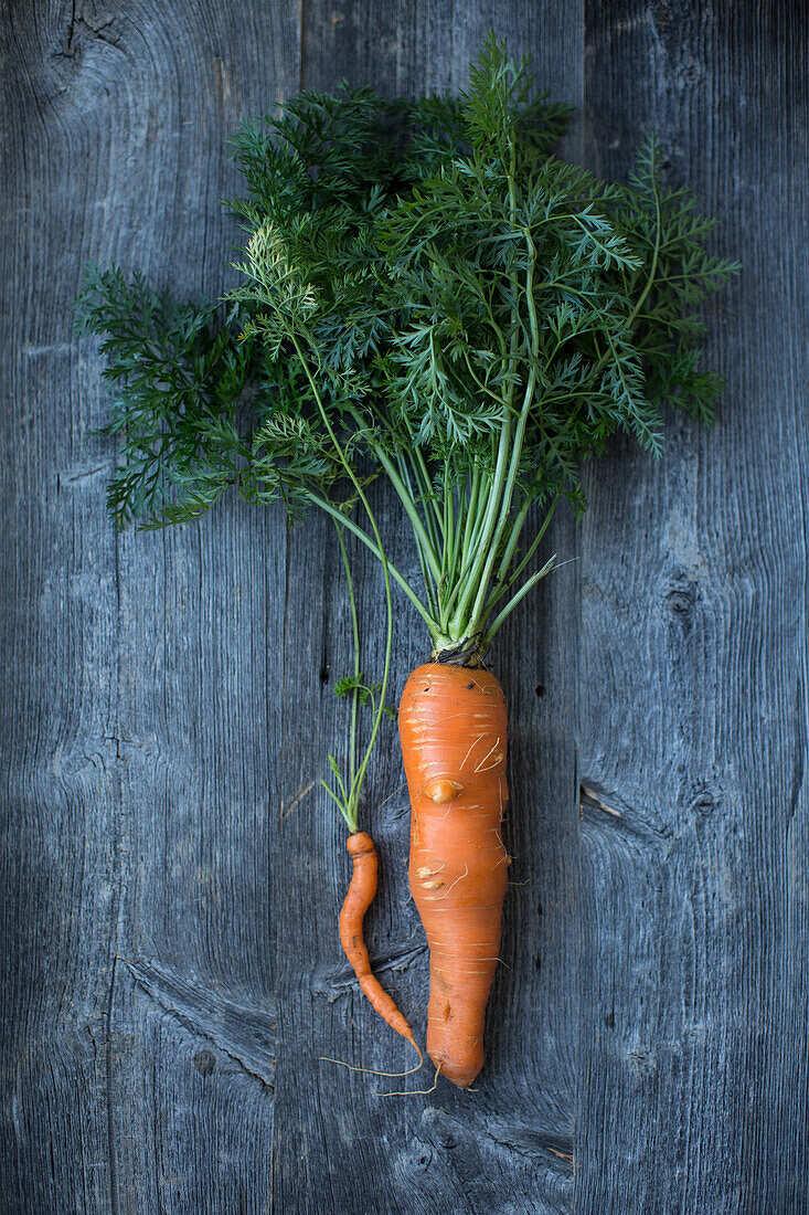 Carrot pairing: large and small carrots