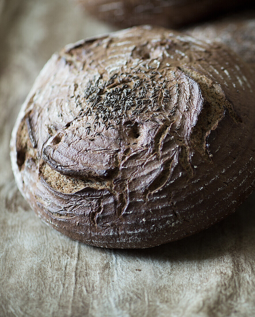 Freshly baked caraway bread