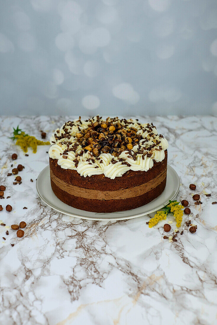 Schoko-Mousse-Torte mit Haselnüssen