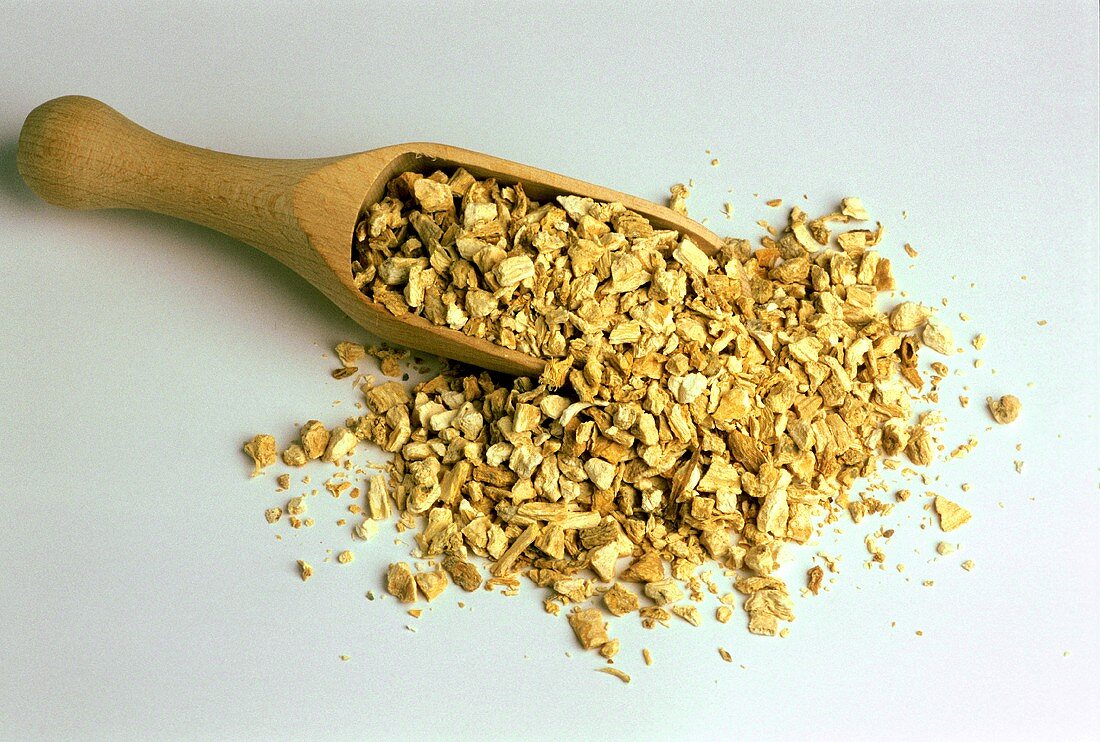 Dried bryony root (Bryonia) on wooden scoop