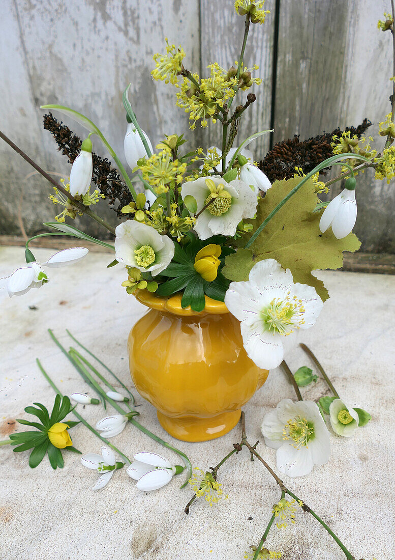 Bouquet of Cornelian cherry (Cornus Mass), snowdrop (Galanthus) and hellebore (Helleborus)