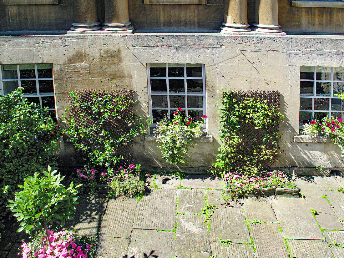 Fassadenausschnitt mit Kletterpflanzen und Blumen (Bath, England)