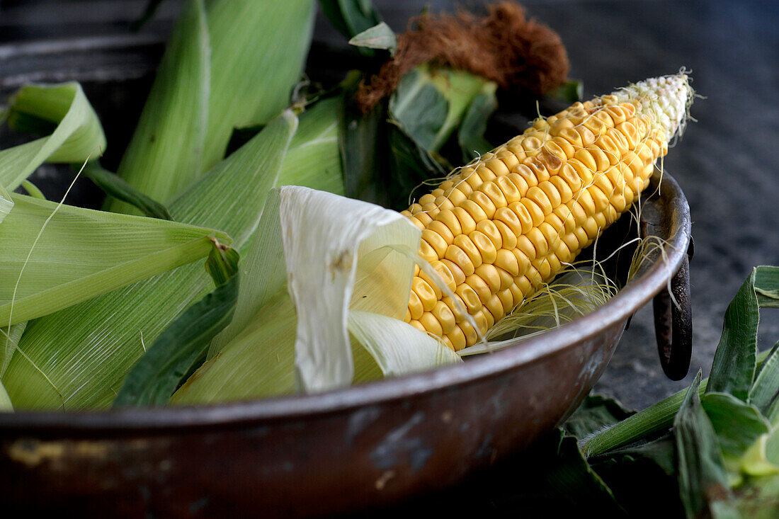 Fresh corn on the cob with leaves in bowl