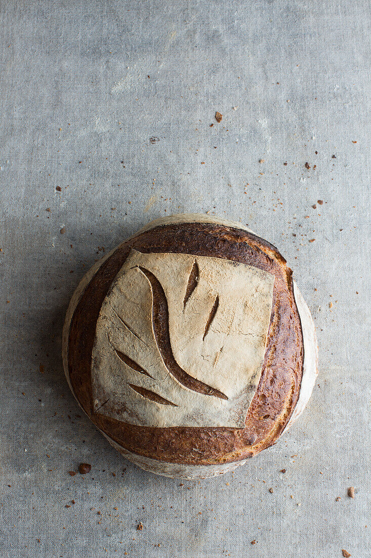 Tourte de Meule (Französisches Landbrot)