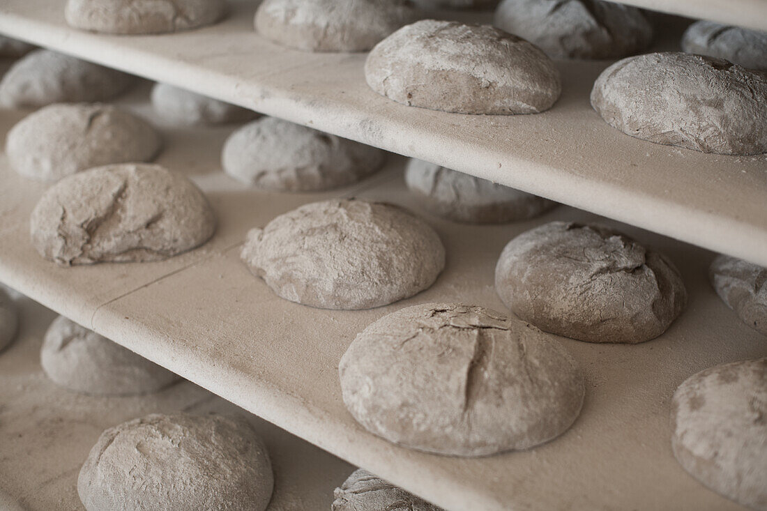 Bread dough on a shelf in a bakery