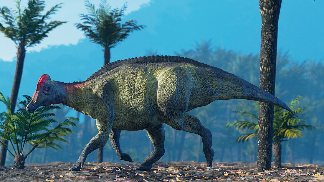 Hypacrosaurus, illustration