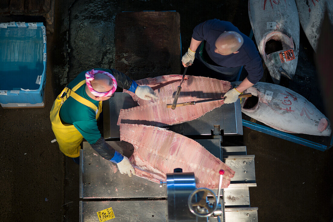 Fische auf dem Tsukiji Fischmarkt, Tokio, Japan