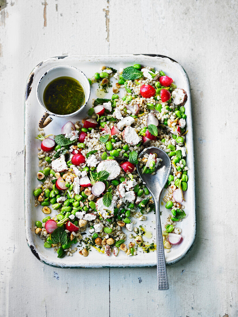 Barley salad with broad beans, radishes, and mint
