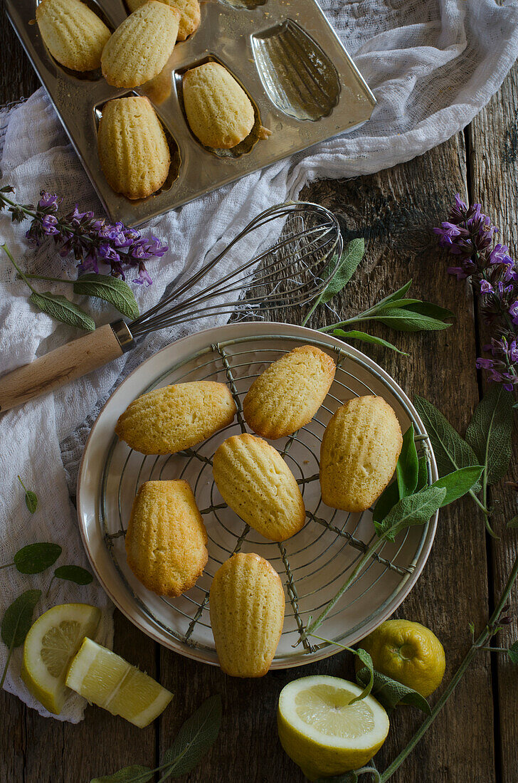 Lemon and sage madeleines on a rustic wooden kitchen table