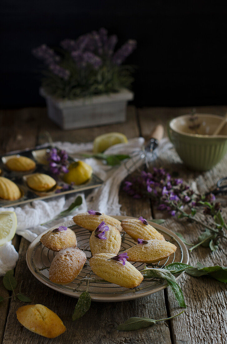 Zitronen-Madeleines mit Salbei auf rustikalem Holztisch