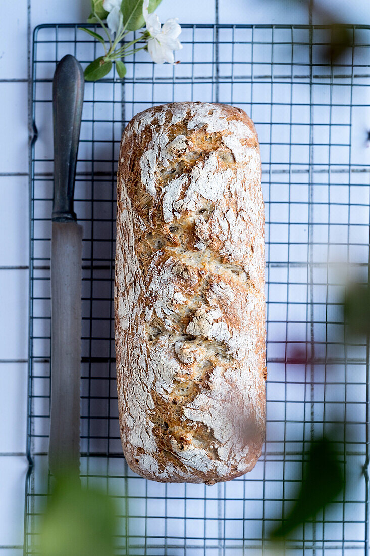 Frisches Brot mit knuspriger Kruste und Brotmesser auf Abkühlgitter