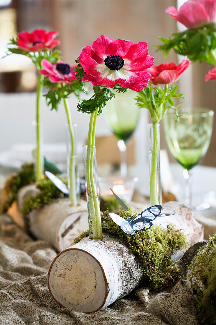 Anemone in Reagenzglas auf Birkenholz