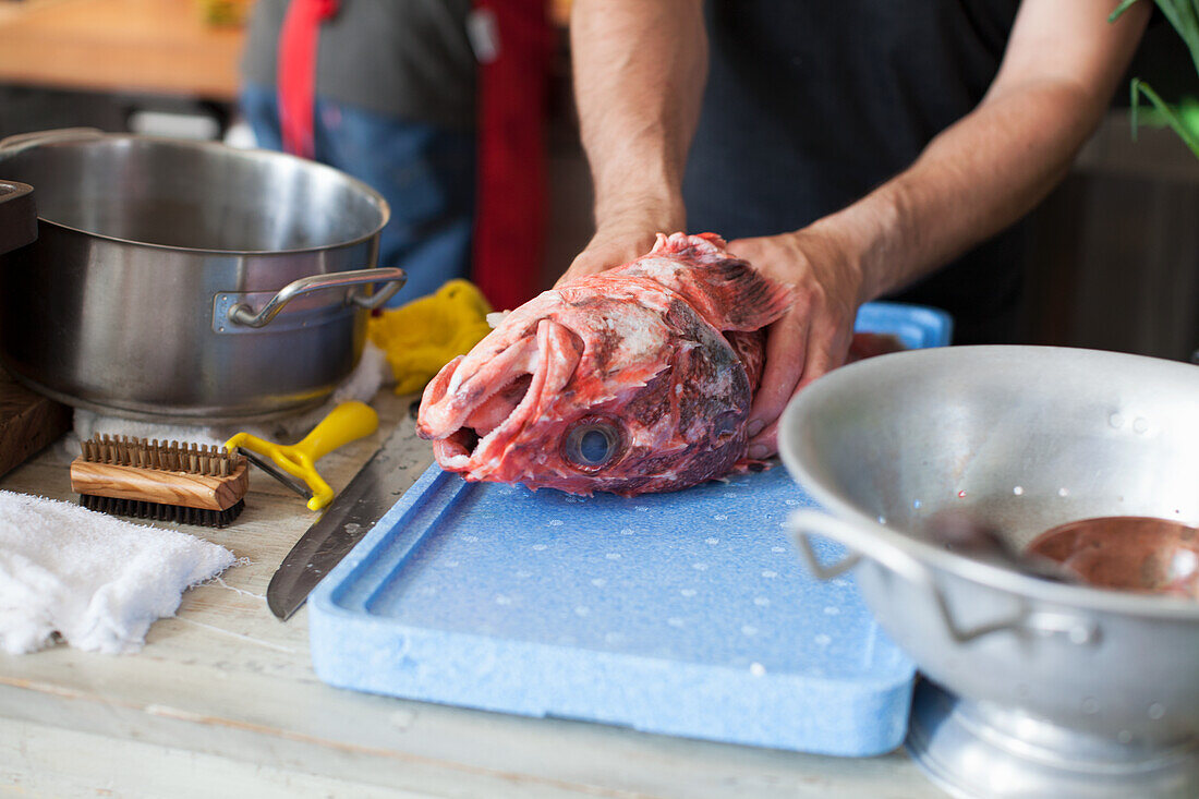 Frischen Fisch zubereiten