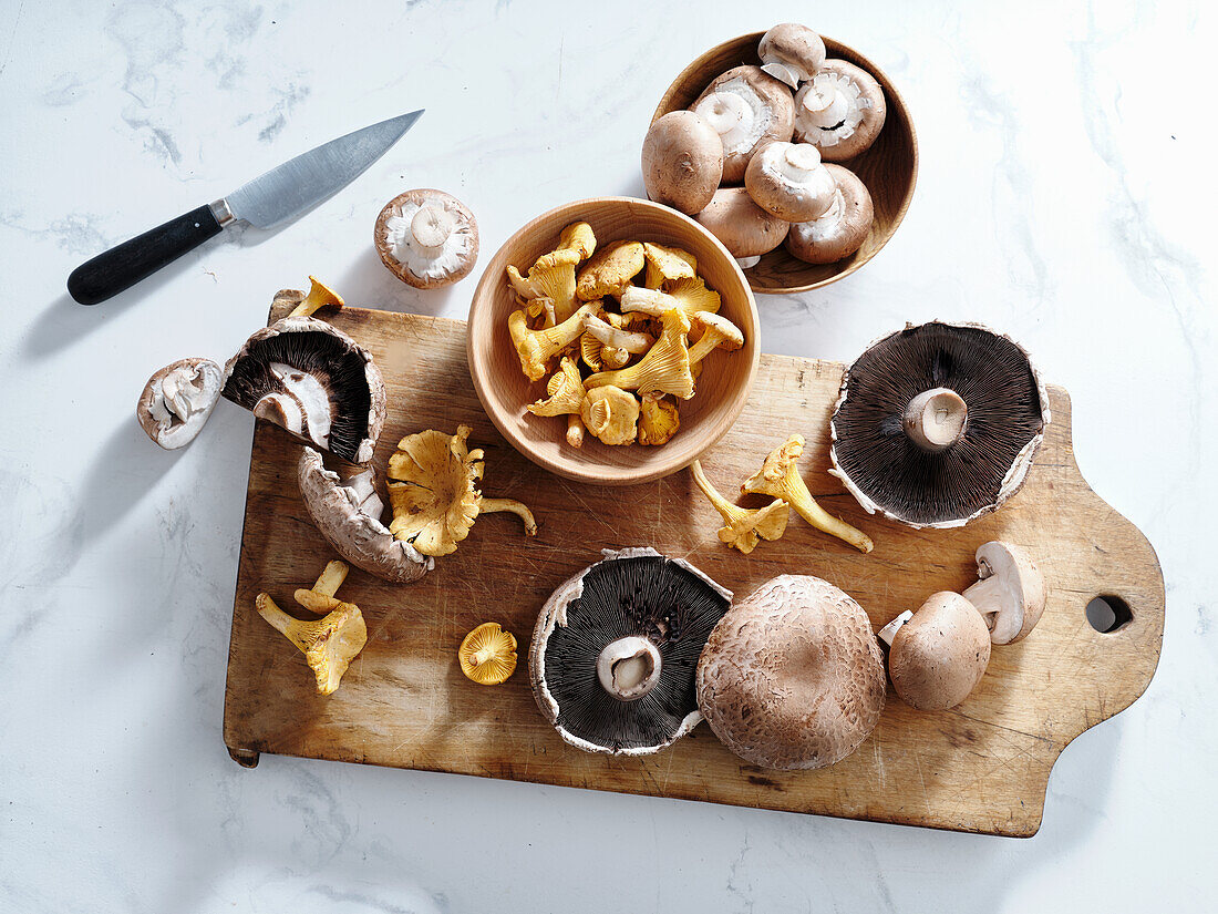 Top view various mushrooms on a wooden cutting board