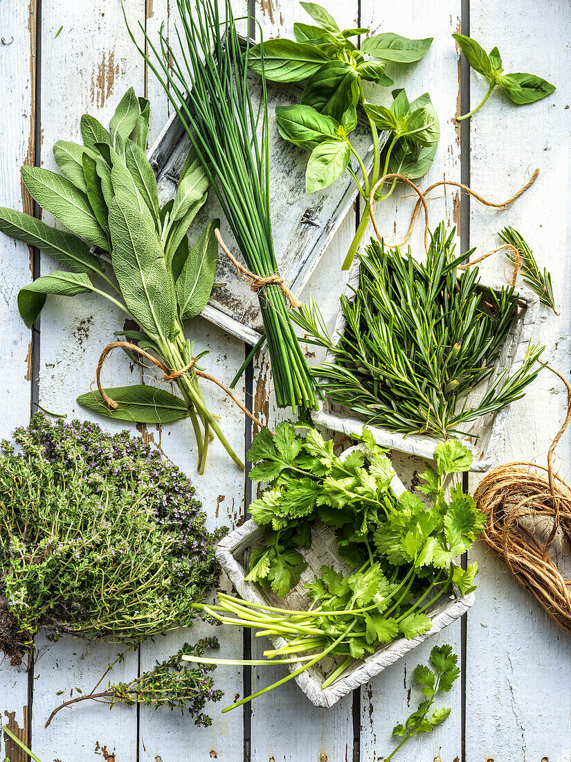 Verschiedene aromatische frische Kräuter auf weißem Holzuntergrund