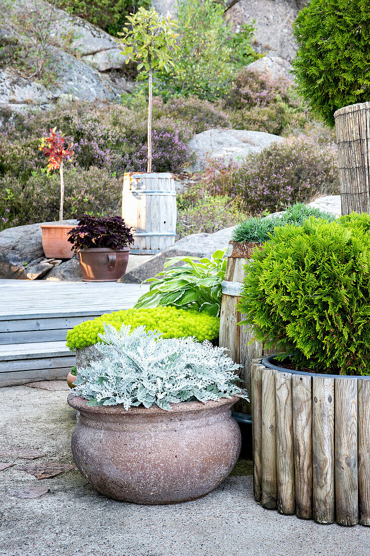 Planters in a rock garden