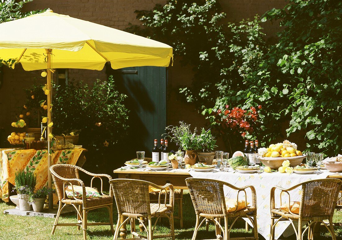 Table in garden set for summer party