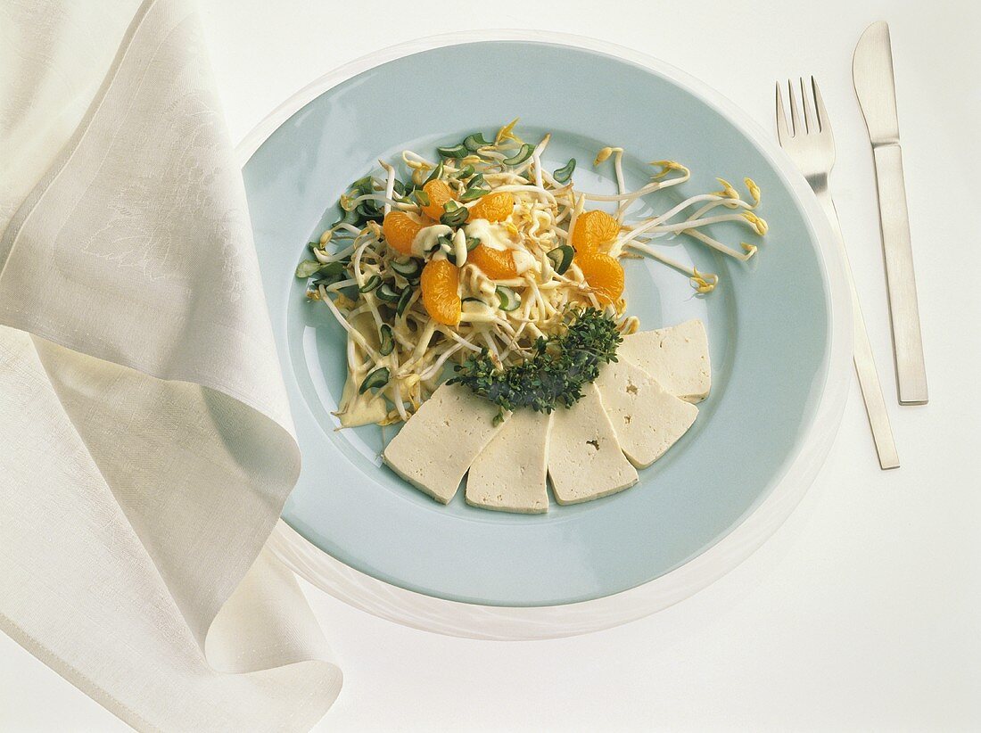 Sprout salad with mandarin oranges, cress and sliced tofu