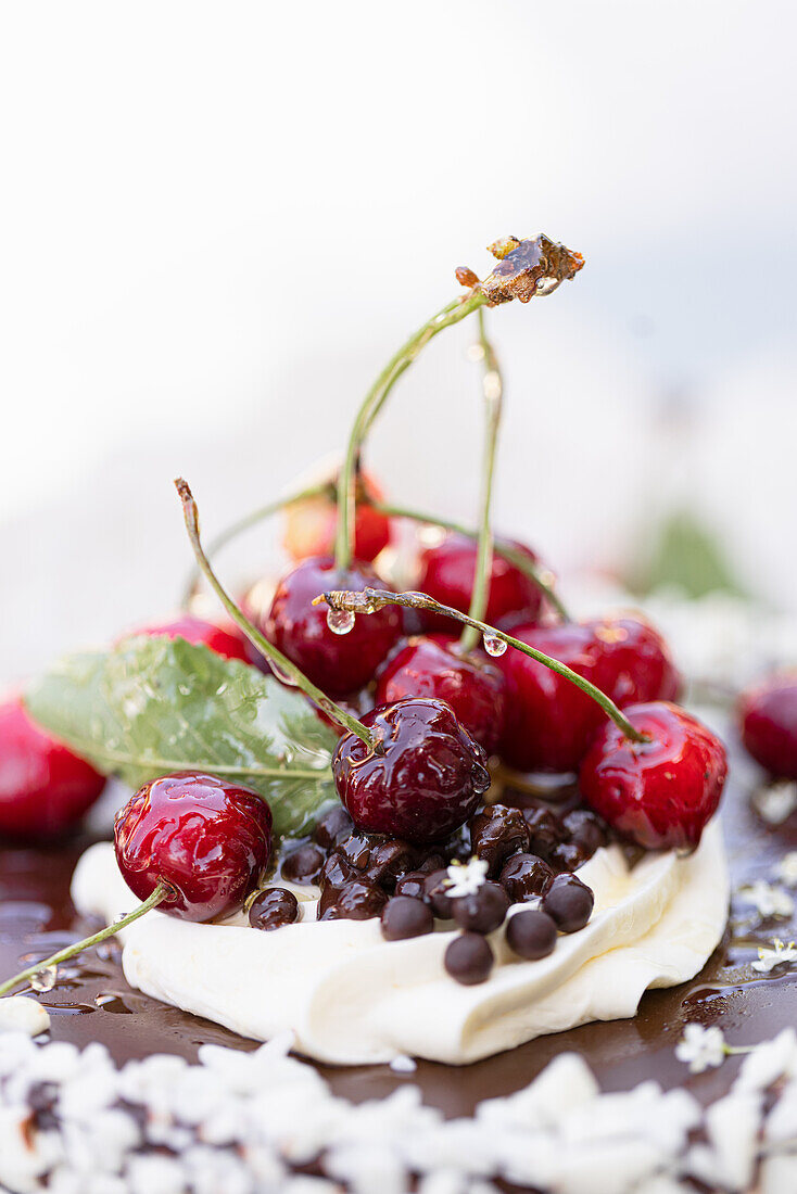Chocolate cake with white chocolate shavings, cream and cherries