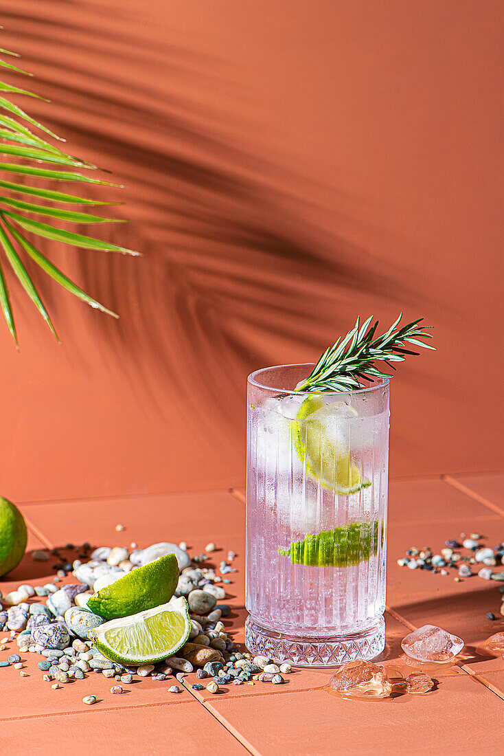 Gin and tonic with lime