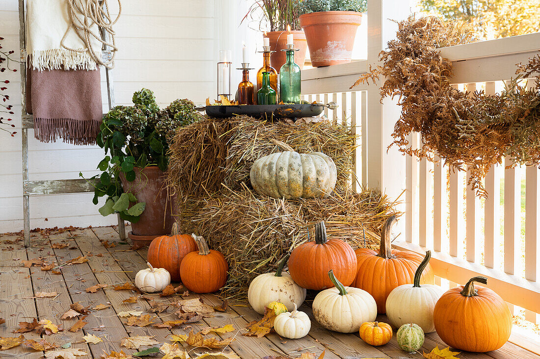 Strohballen und Kürbisse auf herbstlicher Veranda