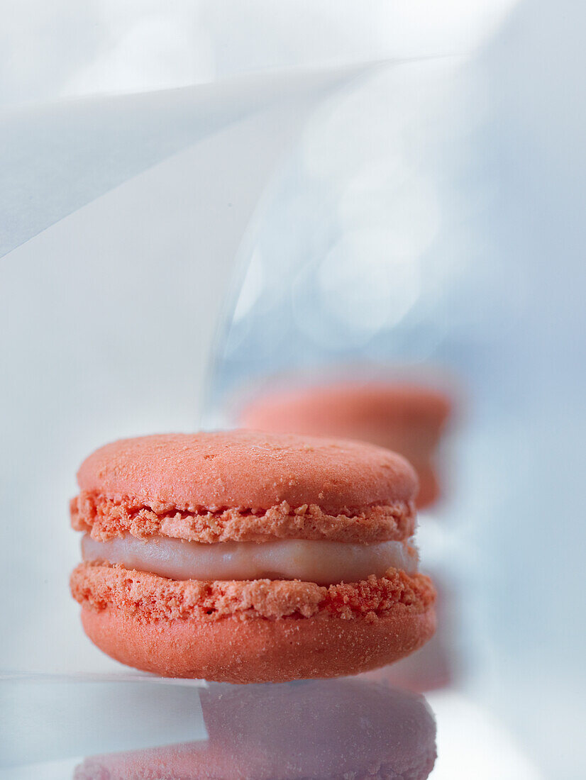 Orange blossom macaron