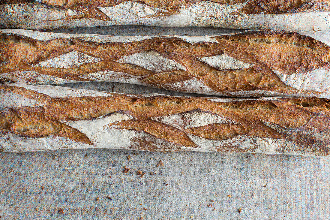 Baguette de Campagne (Baguettebrote, Frankreich)