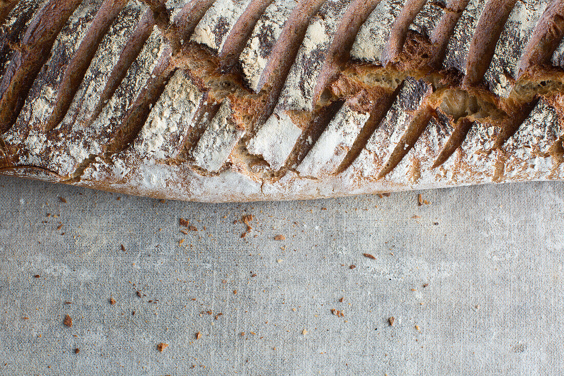 Pain d'Antan (French country bread)