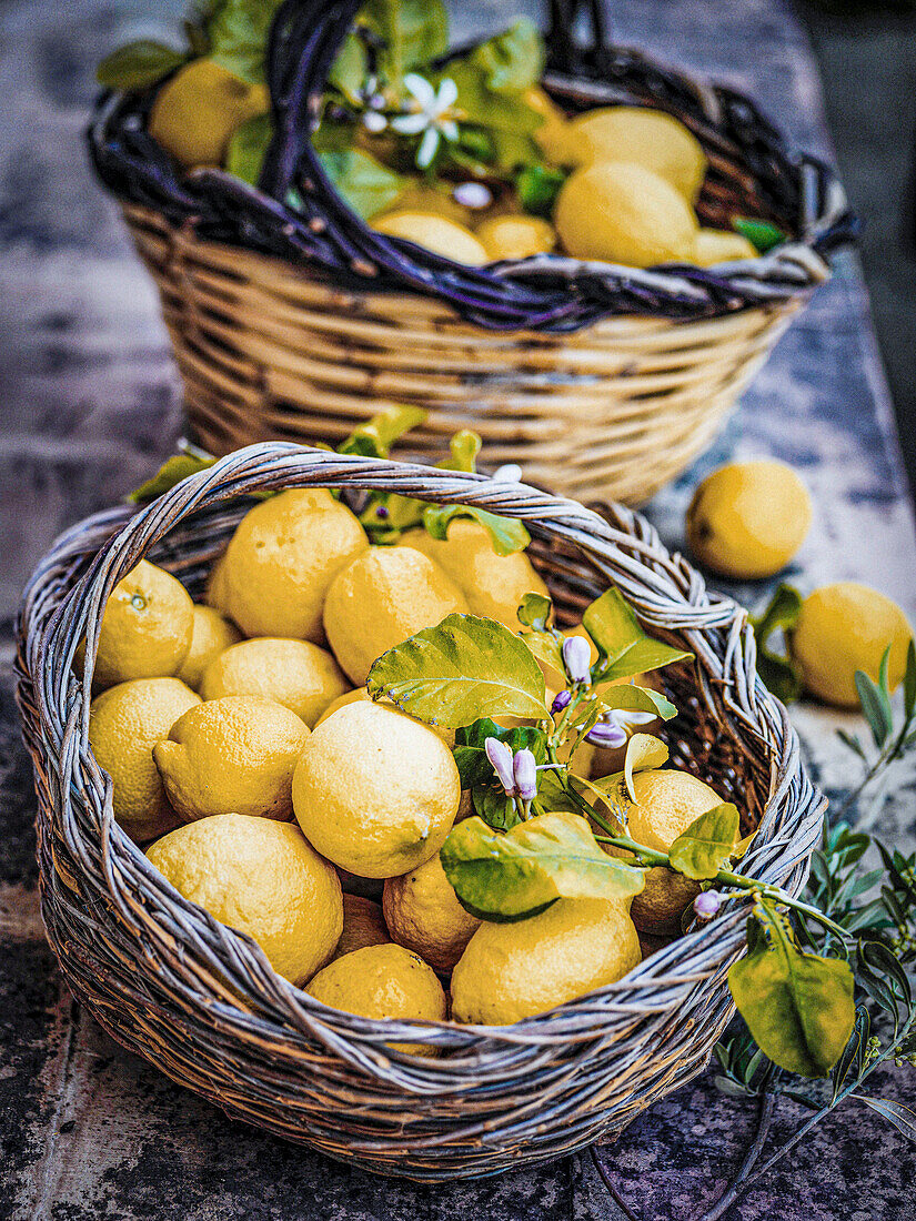 Sizilianische Bio-Zitronen mit Blüten im Korb