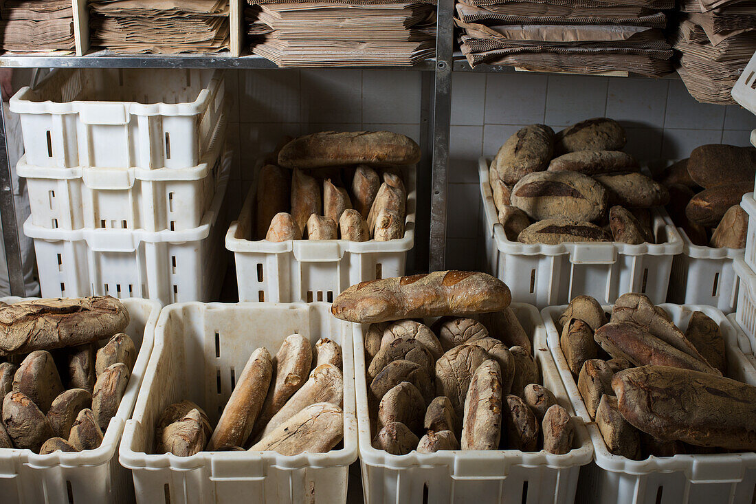 Different types of bread in an Italian bakery