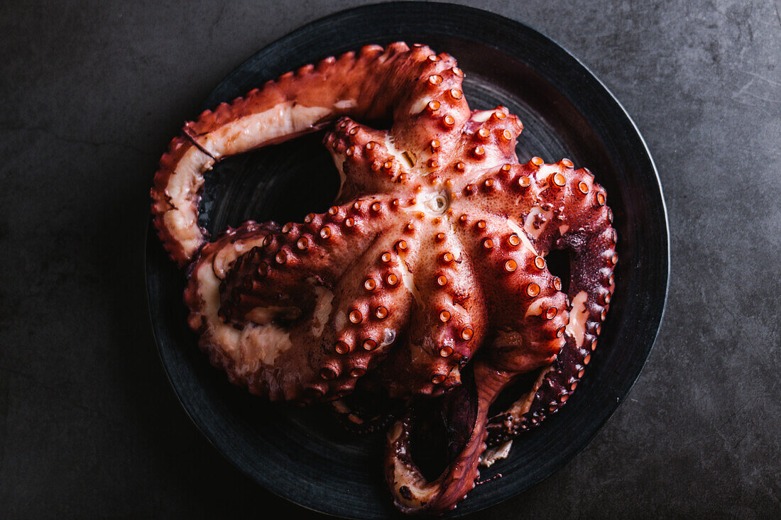 Oktopus auf dunklem Teller
