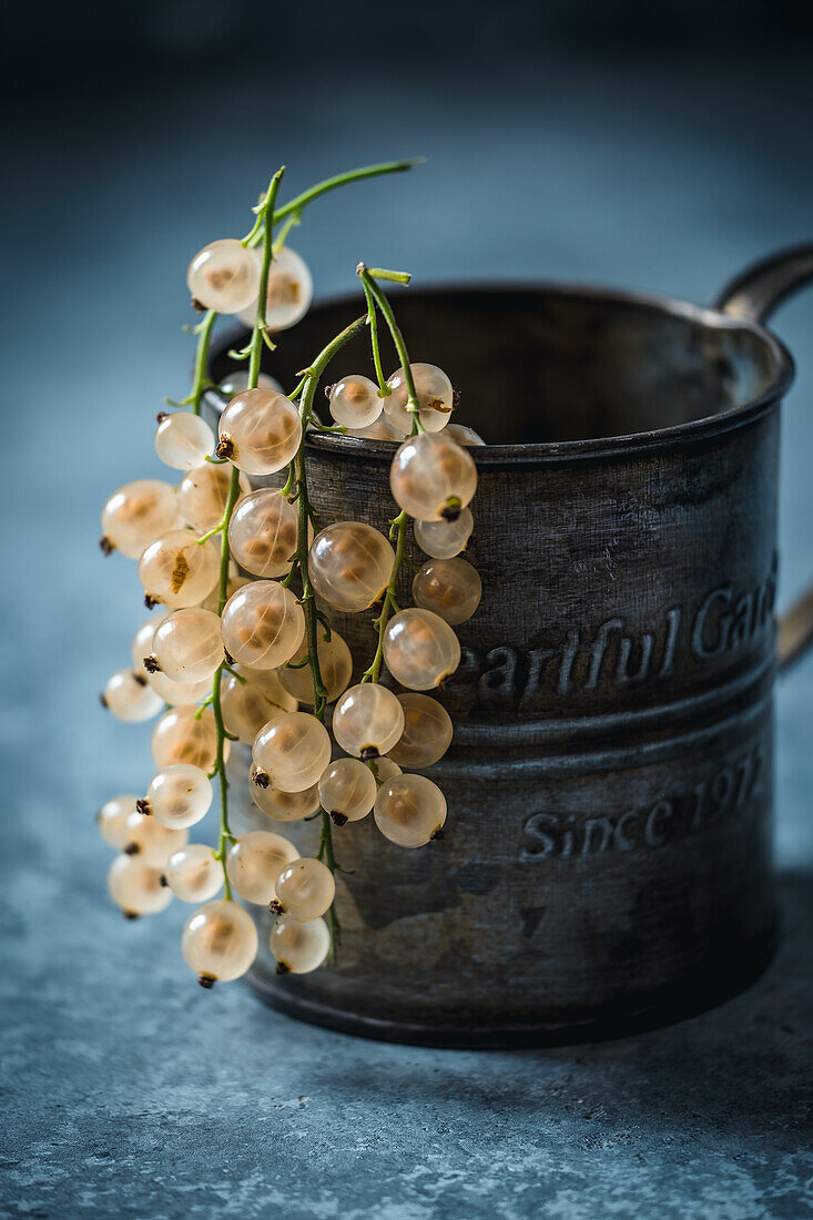 White currants hanging from a vintage cup