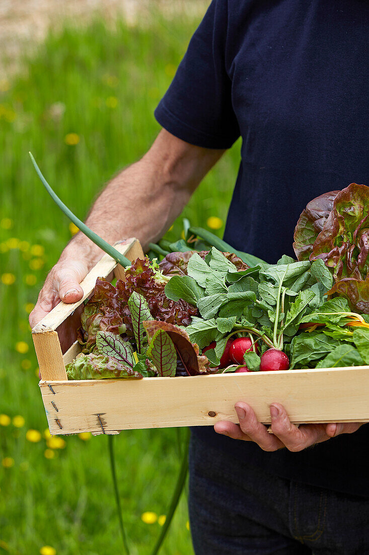 Man carrying wooden tray with fresh vegetables