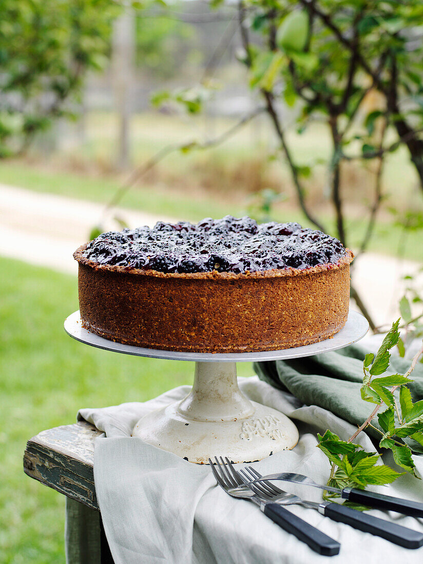 Brombeer-Käsekuchen mit Ziegenkäse und Pistazien